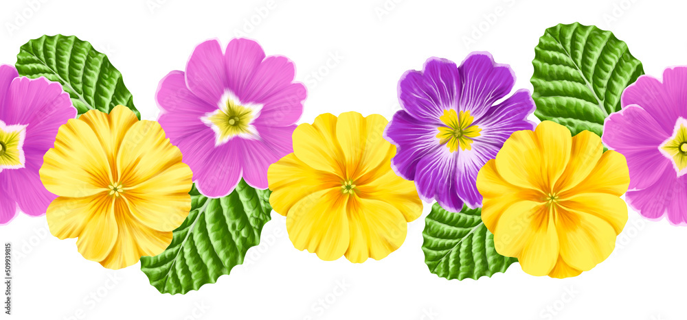 seamless border with drawing flowers of purple and yellow primrose and green leaves at white background , hand drawn botanical illustration seamless border with drawing flowers of purple and yellow primrose and green leaves at white background , hand drawn botanical illustration