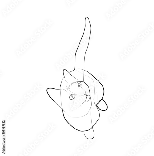 Wallpaper Mural The cat looks away in abstract hand drawn style, minimalist one line drawing Torontodigital.ca