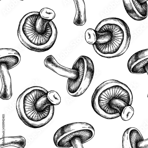 Seamless pattern with black and white blewit