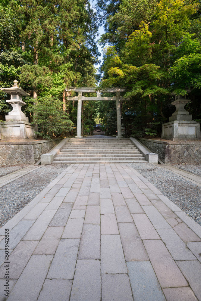 Fototapeta premium 新潟県 弥彦神社参道