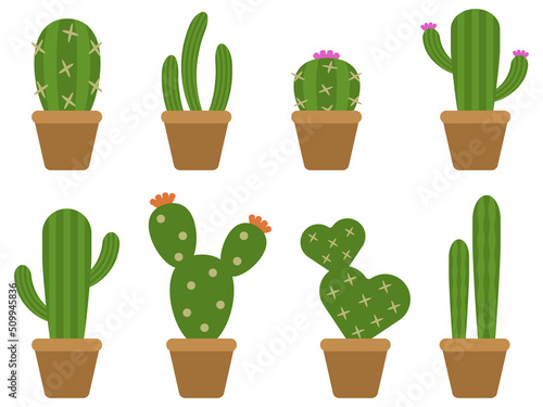 鉢植えのサボテン8種セット　ブラウン