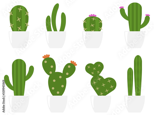 鉢植えのサボテン8種セット　ホワイト