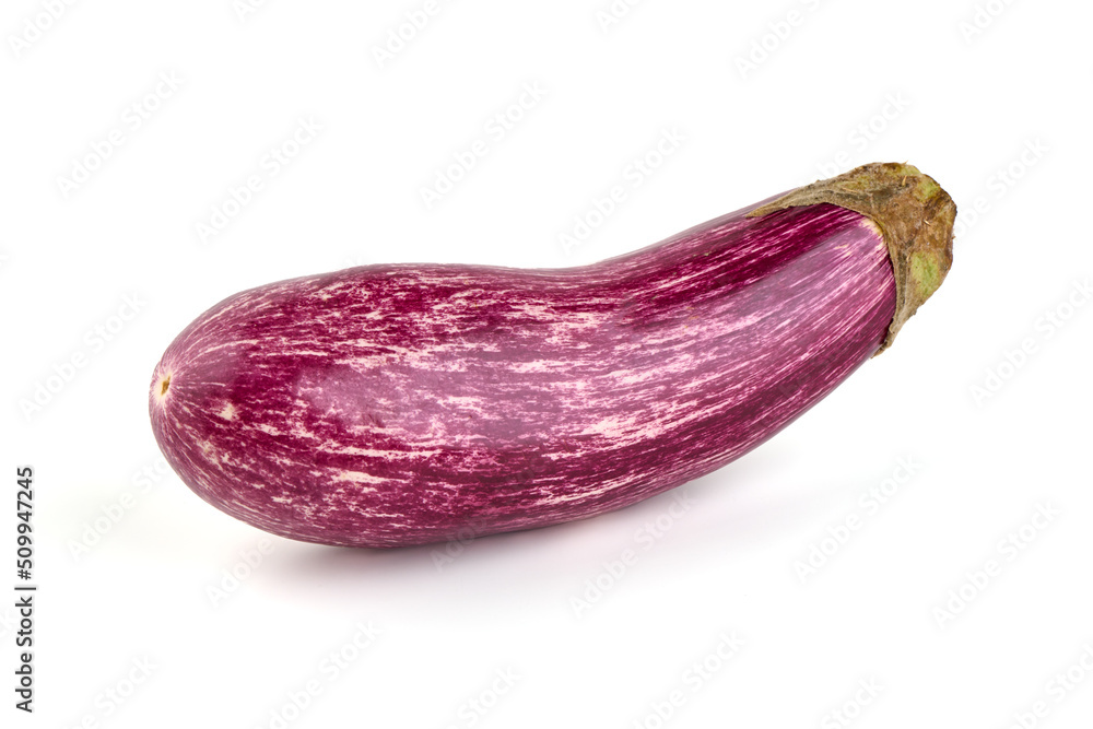 Purple striped eggplant, isolated on white background. Purple striped eggplant, isolated on white background.