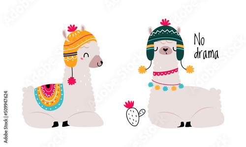 Pretty Wooly Llama or Alpaca Wearing Knitted Hat and Blanket Sitting Vector Set