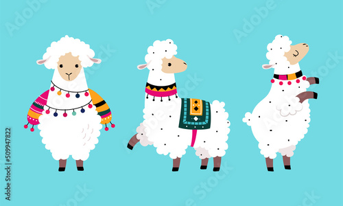 Pretty Wooly Llama or Alpaca Wearing Knitted Blanket Standing Vector Set