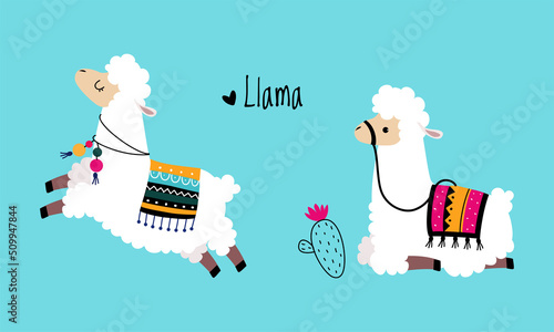 Pretty Wooly Llama or Alpaca Wearing Knitted Blanket Sitting and Jumping Vector Set