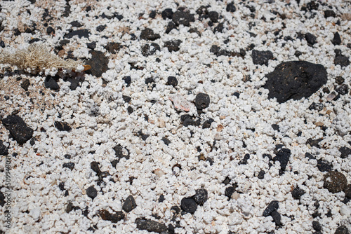 Popcorn beach surface in Fuerteventura. Black volcanic rocks and dead rhodoliths washed up by the sea. White fossil red algae that look like popcorn.