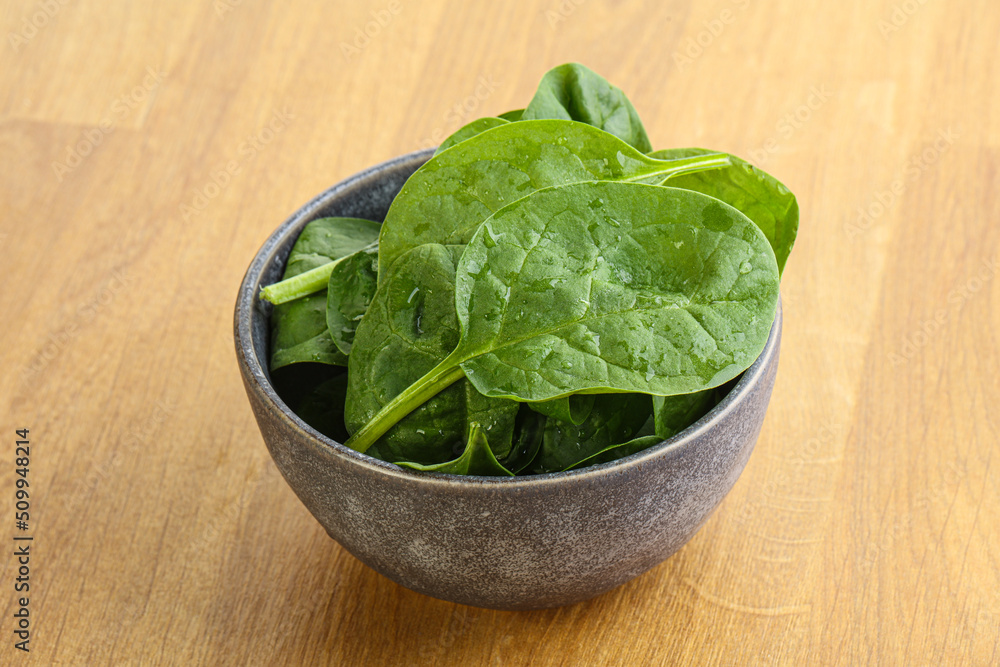 Fresh green spinach leaves in the bowl Fresh green spinach leaves in the bowl