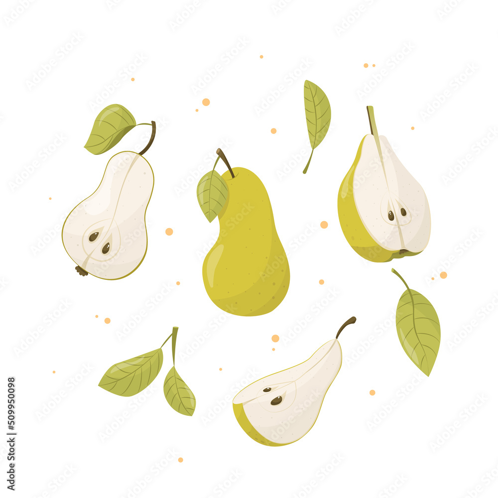 Summer fruit collection, set of vector pears, pear vector. Fresh garden fruit doodle, organic organic vegan food. Summer fruit collection, set of vector pears, pear vector. Fresh garden fruit doodle, organic organic vegan food.