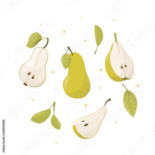 Summer fruit collection, set of vector pears, pear vector. Fresh garden fruit doodle, organic organic vegan food.