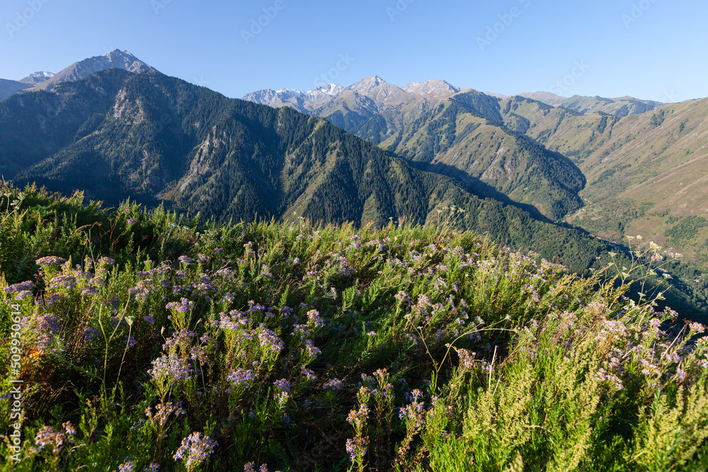 The Zailiyskiy Alatau Mountains in Almaty, Tien Shan mountain system in Kazakhstan. Big Almaty Peak and two Brothers in the background. .Big Almaty Gorge