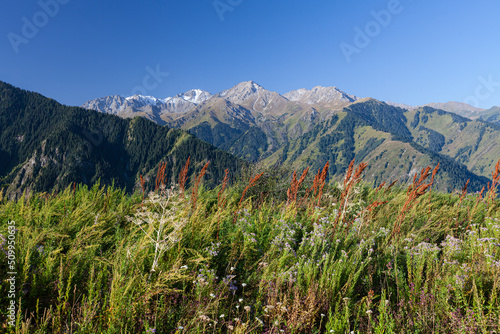 Obraz na płótnie The Zailiyskiy Alatau Mountains in Almaty, Tien Shan mountain system in Kazakhstan. Two Brothers in the background. Big Almaty Gorge w salonie