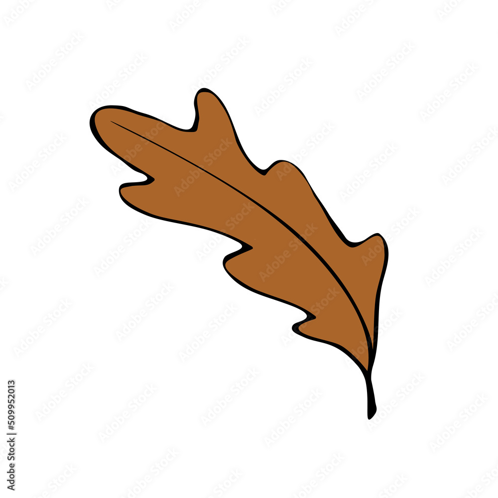 Vector illustration of brown oak leaf. Simple flat clip art, design element isolated on white background. Theme of nature, forest, happy fall Vector illustration of brown oak leaf. Simple flat clip art, design element isolated on white background. Theme of nature, forest, happy fall