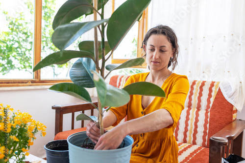 A woman is replanting a home plant