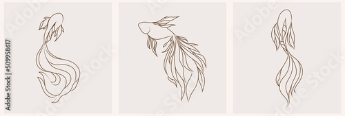 Magical esoteric posters with koi carps. Hand drawn linear painting.