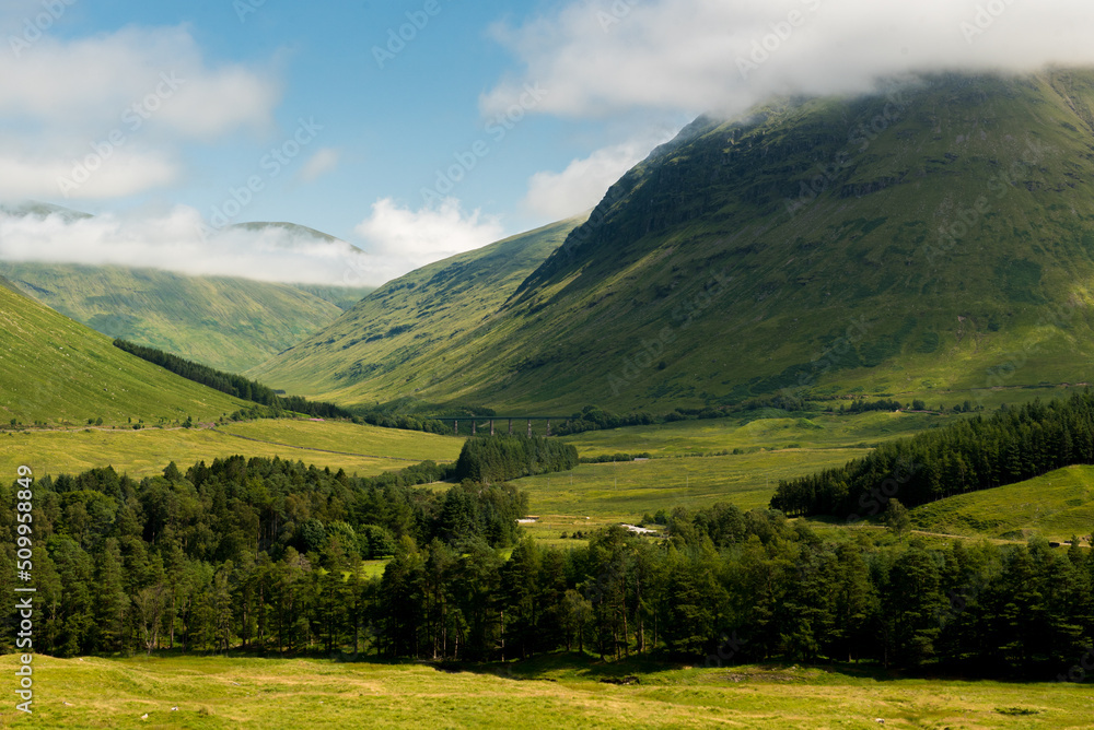 View of a mountain range and with low clouds in Glen Coe, Scottish Highlands, UK, with a line of pine trees across the valley View of a mountain range and with low clouds in Glen Coe, Scottish Highlands, UK, with a line of pine trees across the valley