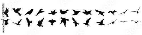 Birds icon vector set. fly illustration sign collection. nature symbol.