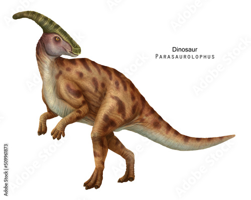 Parasaurolophus illustration. Ogange brown Dinosaur, herbivorous ornithopod photo