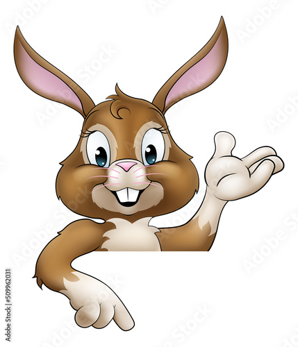 Easter Bunny Rabbit Cartoon Character Peeking Sign