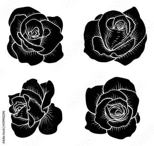 Set of Roses Rose Flowers i...