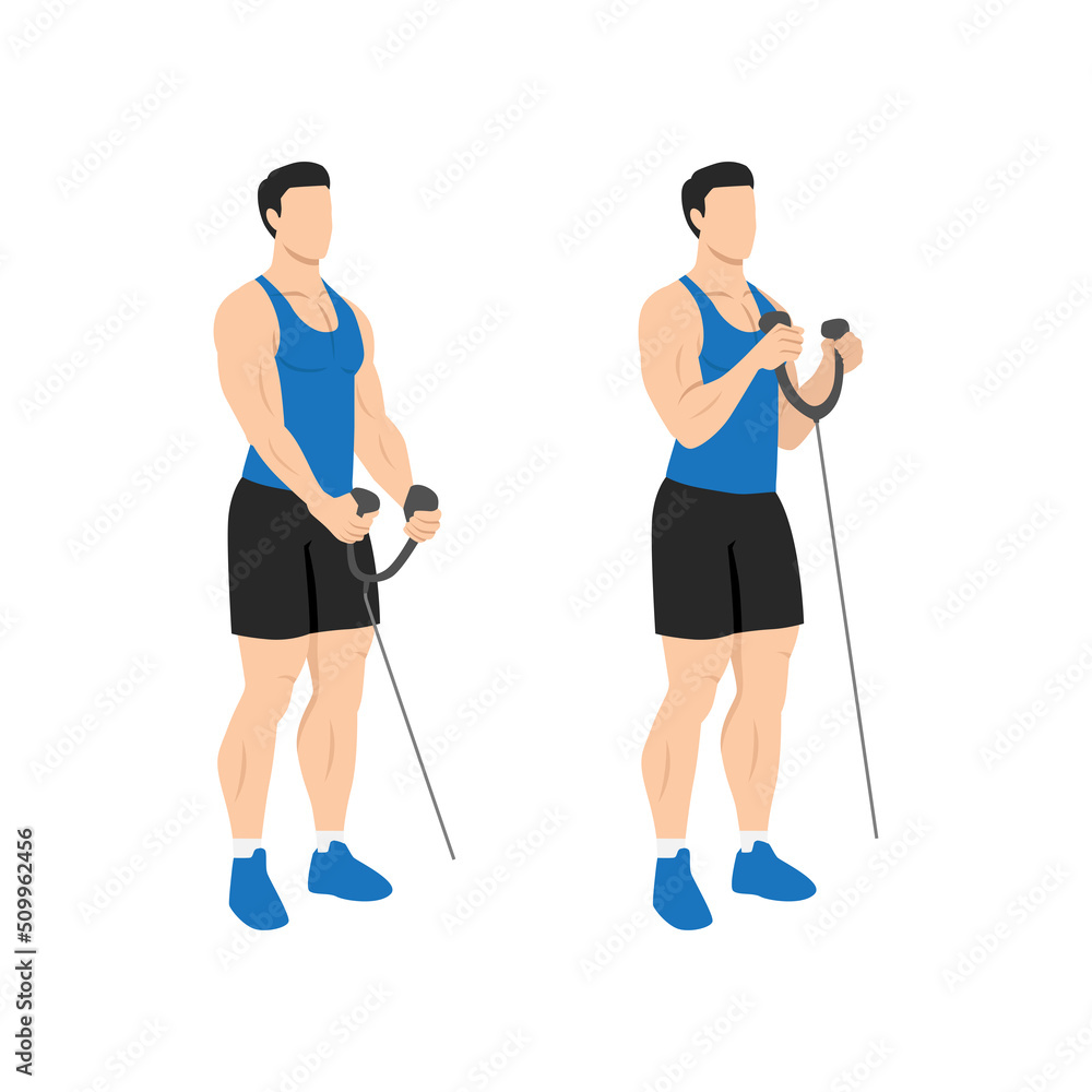 Man doing Rope bicep hammer curl. Flat vector illustration isolated on different layers. Workout character Man doing Rope bicep hammer curl. Flat vector illustration isolated on different layers. Workout character