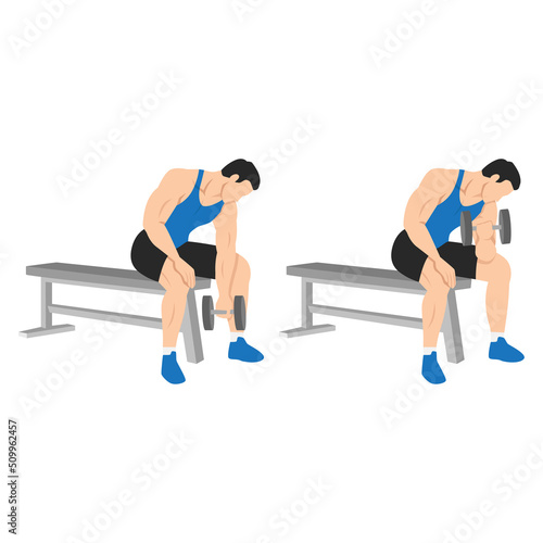 Fototapeta Naklejka Na Ścianę i Meble -  Man doing Dumbbell concentration curl. Flat vector illustration isolated on different layers. Workout character