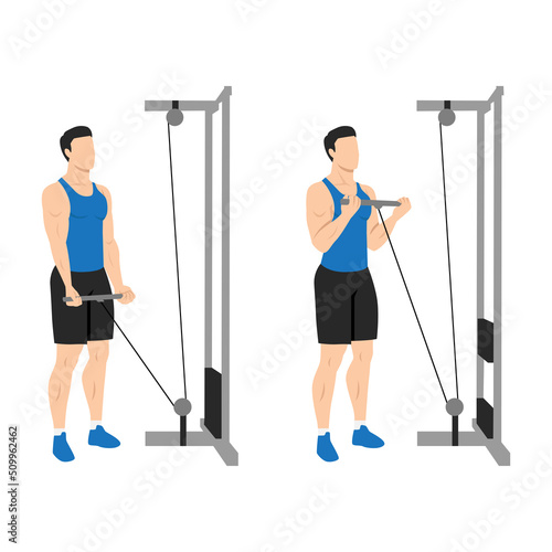 Man doing Straight bar low pulley cable curl. Flat vector illustration isolated on different layers. Workout character