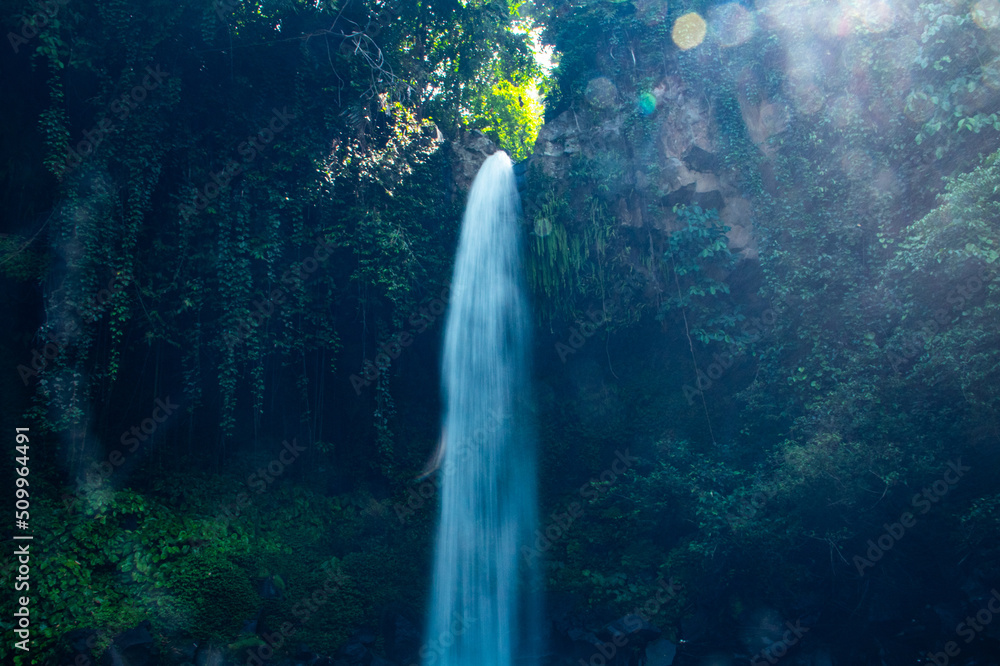 Obraz premium Waterfall scenery background surrounded by greenery in the forest