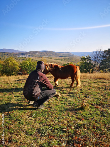 Socerb Horses