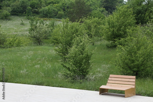 bench in the park against a background of green grass and trees