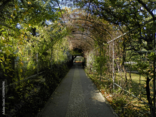Sezana Botanical Park