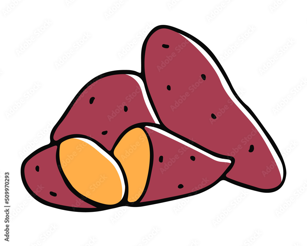 Sweet potatoes in doodle style. Color image on a white background. Vegetables. Vector illustration Sweet potatoes in doodle style. Color image on a white background. Vegetables. Vector illustration
