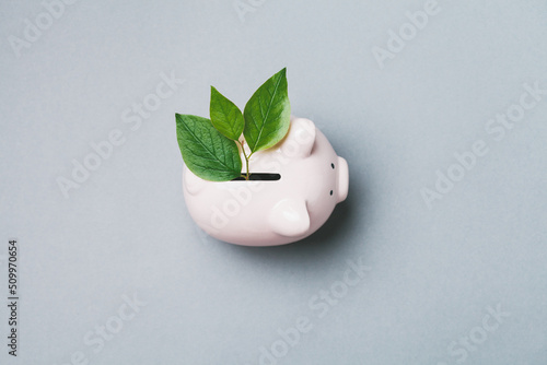 Piggy bank with green sprout growing, saving money, business growth, profit and success concept photo