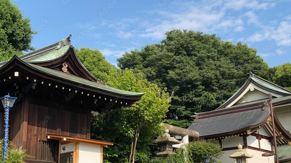 The green roof traditional shrine house of Japan, “Gojyoten Jinjya”, clear blue sky June 10th year 2022 The green roof traditional shrine house of Japan, “Gojyoten Jinjya”, clear blue sky June 10th year 2022