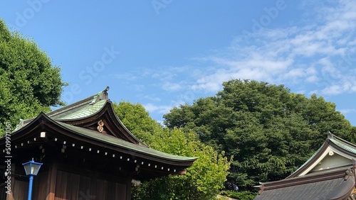 The green roof traditional shrine house of Japan, “Gojyoten Jinjya”, clear blue sky June 10th year 2022 © KAYO SUGIUCHI