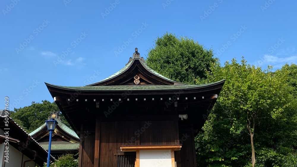 Fototapeta premium Clear blue sky and the beautiful aged Japanese shrine house on a clear blue sky sunny day, year 2022 June 10th