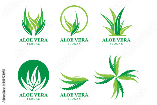 Green plant aloe vera logo vector icon symbol many benefits