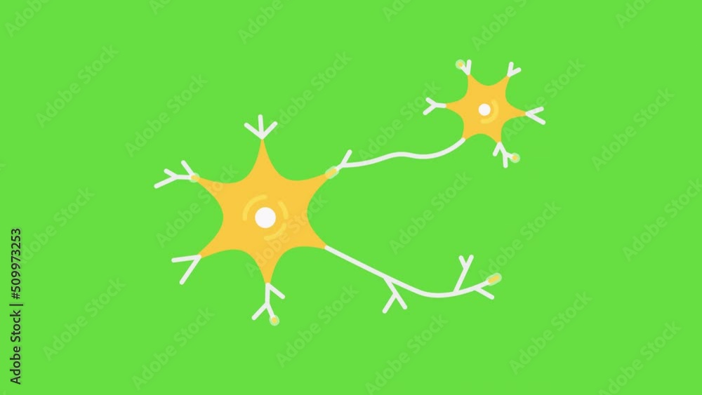 4k video of cartoon neurons on green background. 4k video of cartoon neurons on green background.
