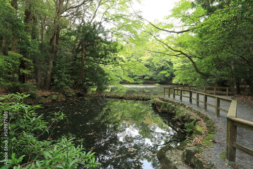 伊勢神宮にある池