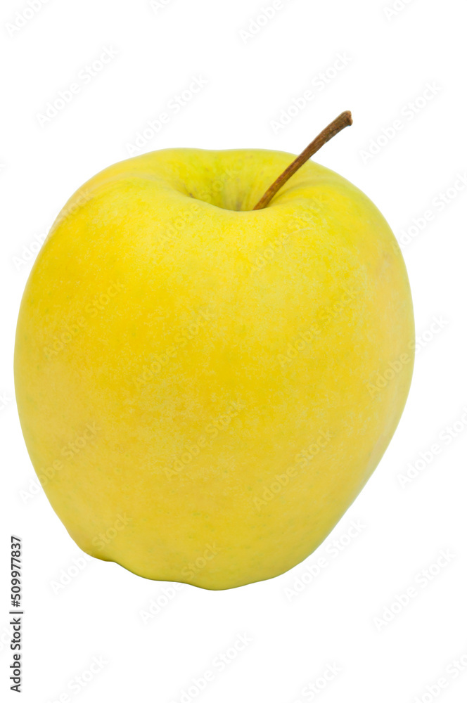 yellow apple on a white background. the concept of making apple juice. healthy food illustration. juicy sweet fruit on the table. big apple on a light texture.