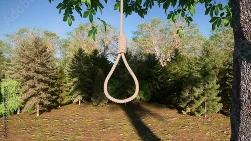 A close-up view of a rope with a hangman's noose knot, swinging in the breeze as it hangs from the branch of a tree - seamless looping. photo
