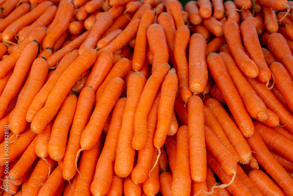 Carrots. Fresh organic carrots. Background texture of carrots. Carrots. Fresh organic carrots. Background texture of carrots.