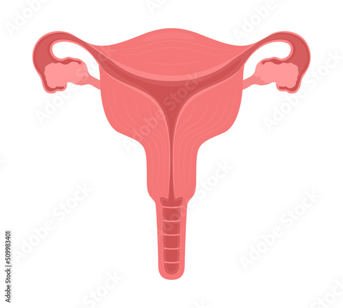 Female reproductive system semi flat color vector object. Health of female organs. Editable element. Full sized item on white. Simple cartoon style illustration for web graphic design and animation