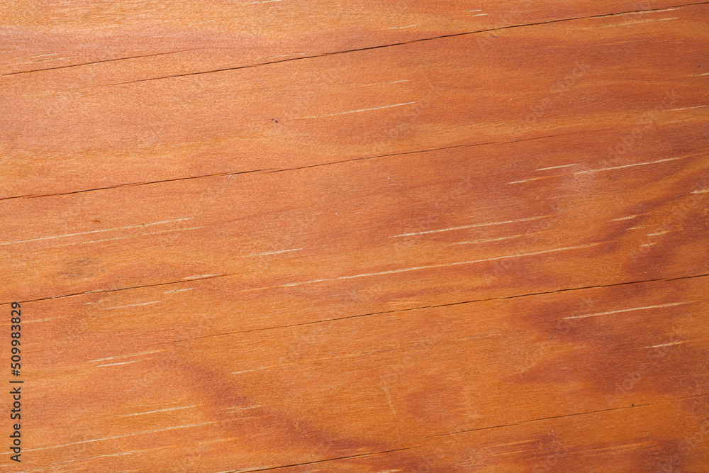 Naklejka premium Wood texture for background.
