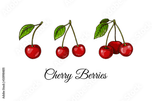 Set of hand drawn cherry berries. Vector illustration in colored sketch style