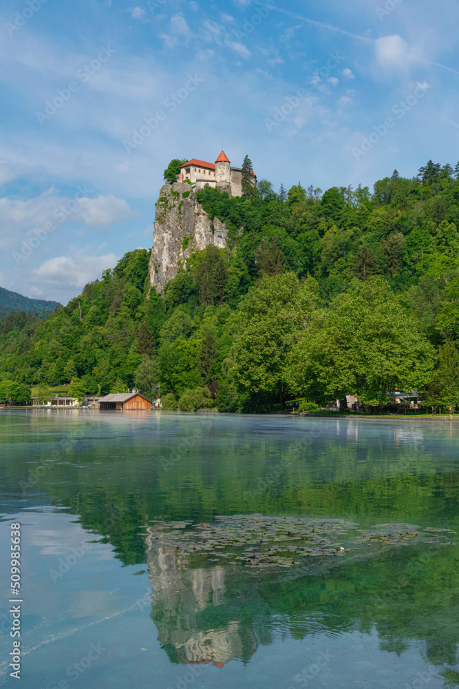 Bled Castle is a medieval castle located at the top a cliff, above the city of Bled in Slovenia Bled Castle is a medieval castle located at the top a cliff, above the city of Bled in Slovenia