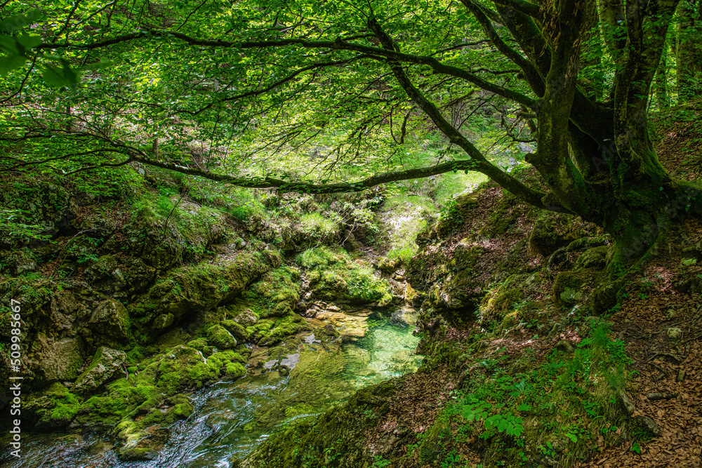 Mystic wilderness and breathtaking beauty of nature in Triglav National Park, Julian Alps, Slovenia Mystic wilderness and breathtaking beauty of nature in Triglav National Park, Julian Alps, Slovenia