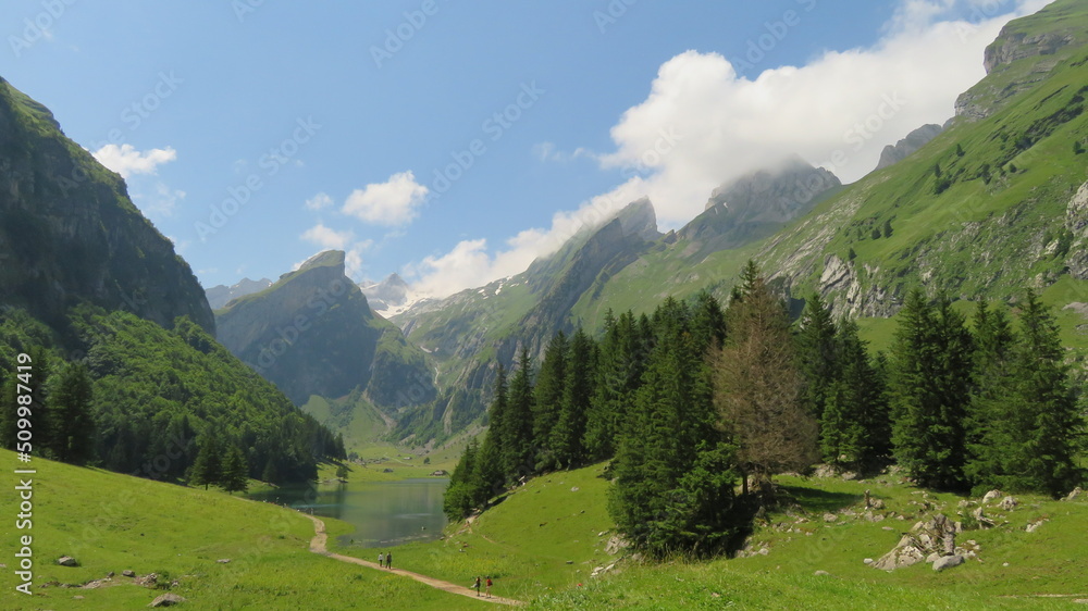 Alps Switzerland 