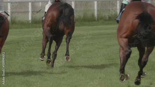 Horses run in competitions in the race for first place. Horse racing in slow motion. photo