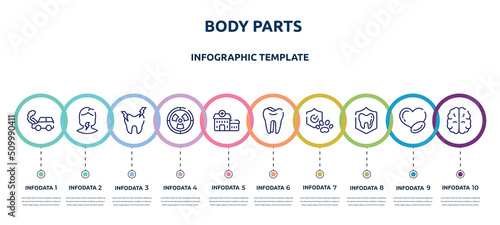 body parts concept infographic design template. included car crash, sore throat, hypersensitive, radioactive danger, health center, molar, pet insurance, dental insurance, brain upper view icons and
